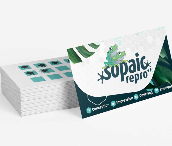 Carte de fidelite standard recto/verso